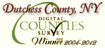 Digital Counties Award Winner image