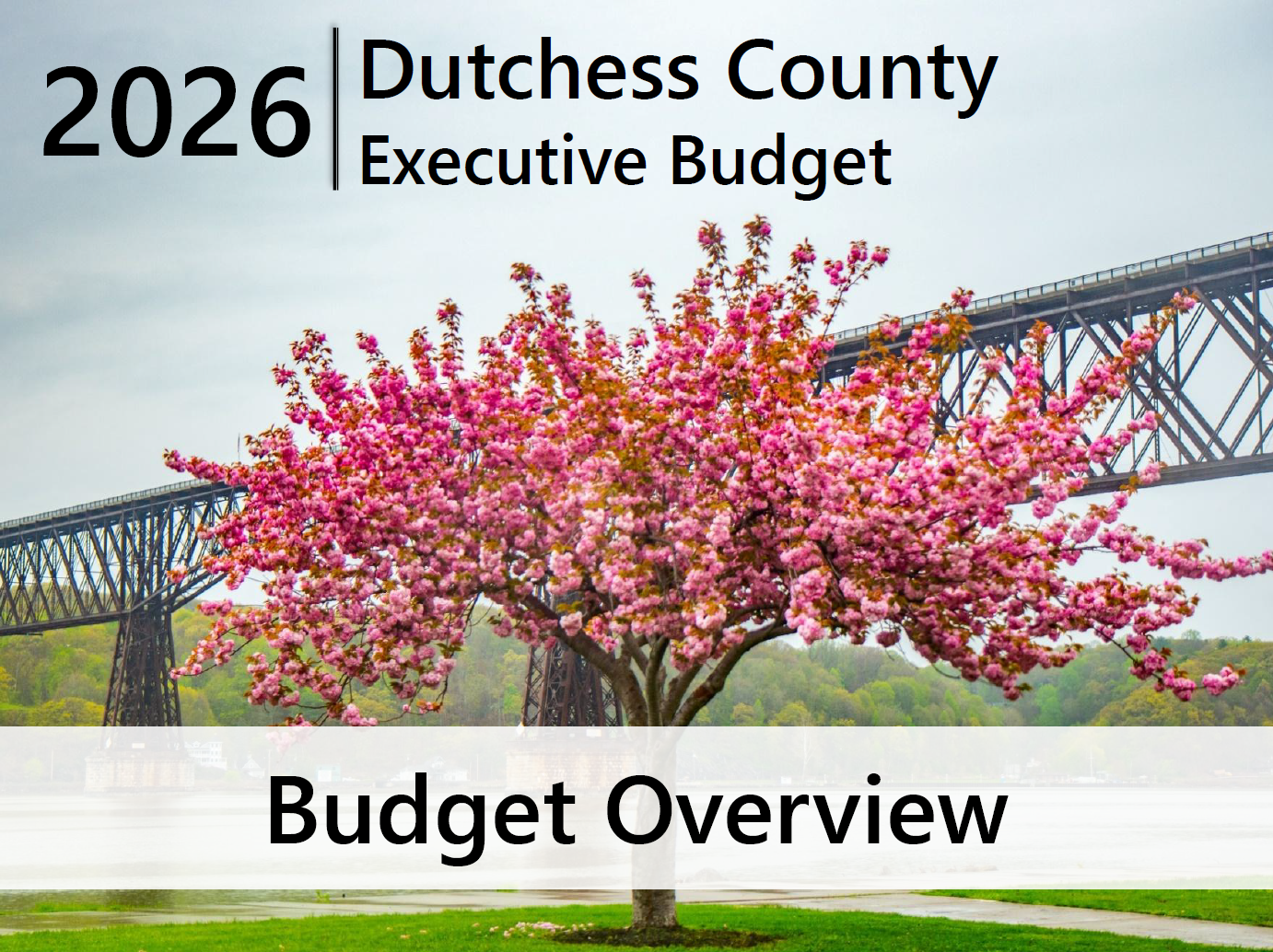 Budget Overview Cover