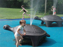 Spraying Turtles at Bowdoin Park