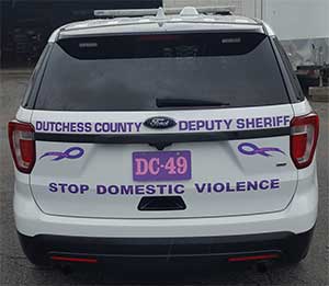Stop domestic violence partol car