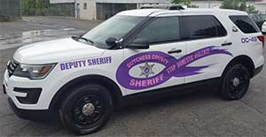 Stop domestic violence patrol car